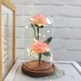 Enchanted Rose in a Glass Dome with Led Light