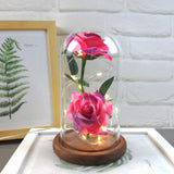 Enchanted Rose in a Glass Dome with Led Light