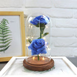 Enchanted Rose in a Glass Dome with Led Light