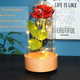 Enchanted Rose in a Glass Dome with Led Light