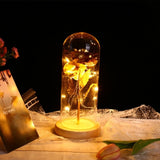 Enchanted Rose in a Glass Dome with Led Light