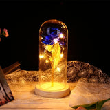 Enchanted Rose in a Glass Dome with Led Light