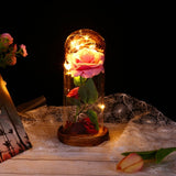 Enchanted Rose in a Glass Dome with Led Light