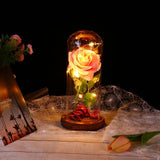 Enchanted Rose in a Glass Dome with Led Light