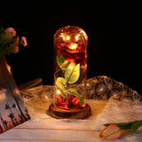 Enchanted Rose in a Glass Dome with Led Light