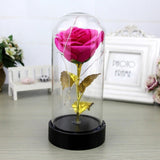 Enchanted Rose in a Glass Dome with Led Light