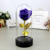 Enchanted Rose in a Glass Dome with Led Light