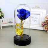 Enchanted Rose in a Glass Dome with Led Light