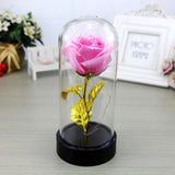 Enchanted Rose in a Glass Dome with Led Light