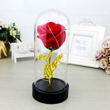 Enchanted Rose in a Glass Dome with Led Light