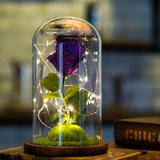 Enchanted Rose in a Glass Dome with Led Light