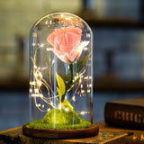 Enchanted Rose in a Glass Dome with Led Light