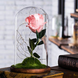 Enchanted Rose in a Glass Dome with Led Light