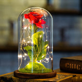 Enchanted Rose in a Glass Dome with Led Light