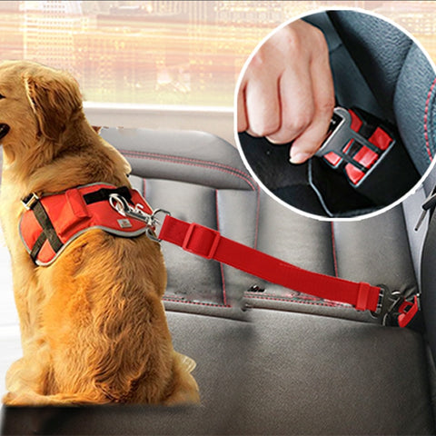 Car Dog Seat Belt