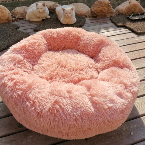 Super Fluffy and Comfortable Bed for Your Best Friend