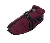 Comfy 2021 Dog Vest
