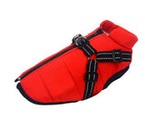 Comfy 2021 Dog Vest